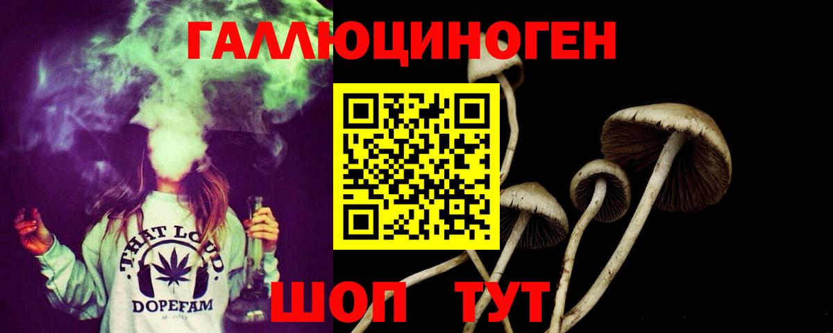 Алейск  Галлюциногенные грибы MAGIC MUSHROOMS  Вход с VPN 